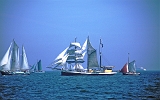 Sail 2003, Barkentim im Regattafeld : Segelschiffe